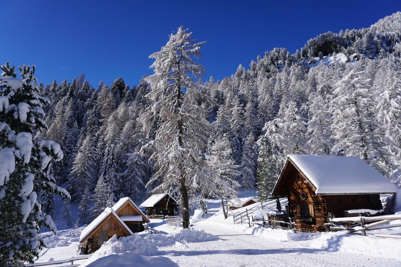 Bergheim Schmidt, Almhuetten Im Wald Appartments An Der Piste Alpine Huts In Forrest Appartments Near Slope Turracher Hohe Zewnętrze zdjęcie