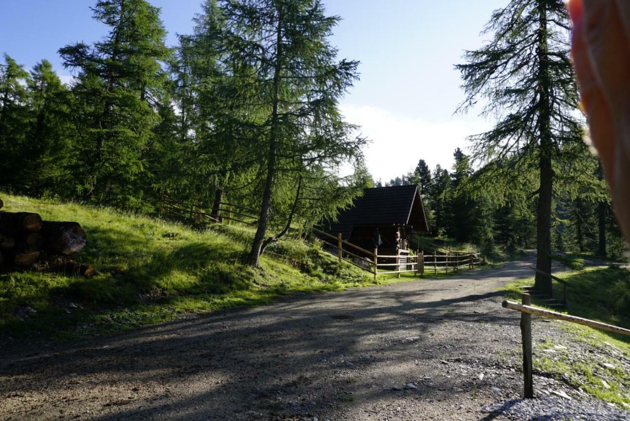 Bergheim Schmidt, Almhuetten Im Wald Appartments An Der Piste Alpine Huts In Forrest Appartments Near Slope Turracher Hohe Zewnętrze zdjęcie